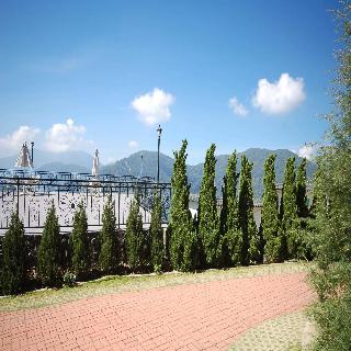 平台
