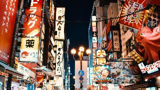 整體概覽