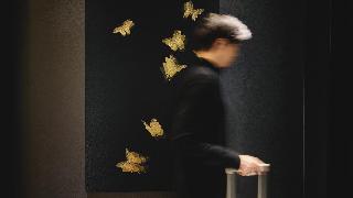 整體概覽