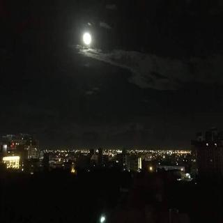 整體概覽
