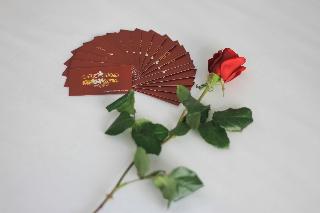 Misa Hotel Da Nang