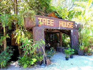 Khaosok Treehouse Resort