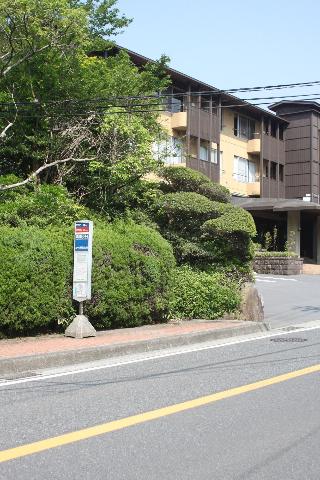 整體概覽