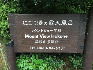 整體概覽