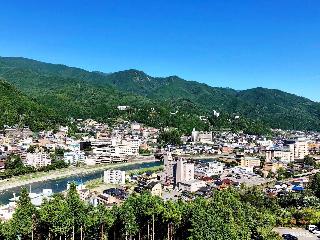整體概覽