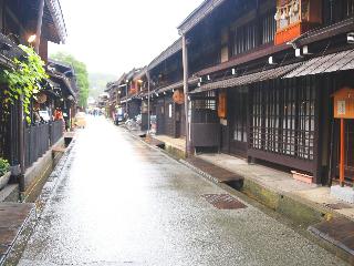 整體概覽
