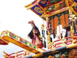 整體概覽