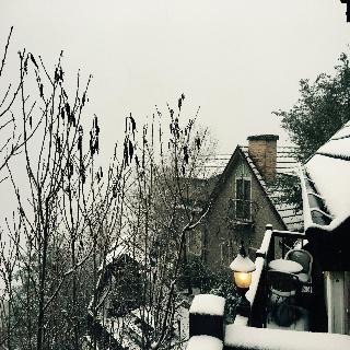 整體概覽