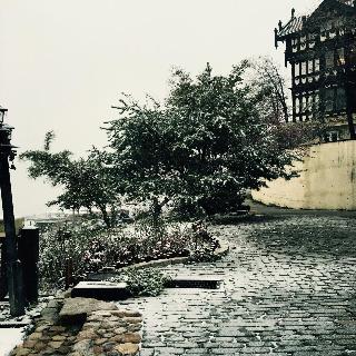 整體概覽