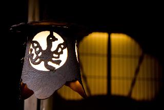 整體概覽