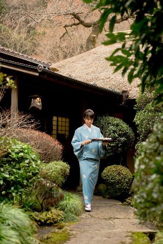 整體概覽