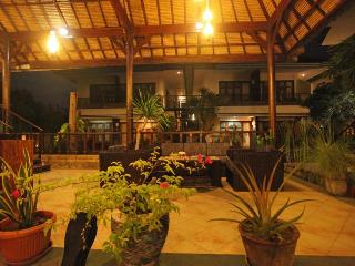萨努尔海景酒店 Sanur Seaview Hotel