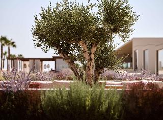 The Royal Senses Resort & Spa Crete, Curio Collect
