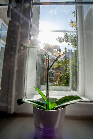 Zagreb City Vibe Apartments Rooms