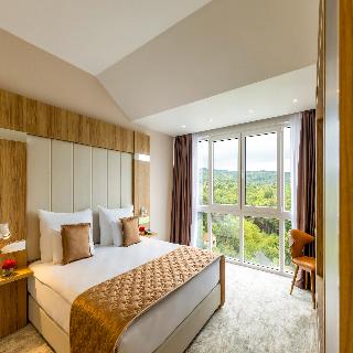 Movenpick Resort & Spa Fruske Terme