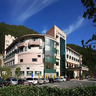整體概覽