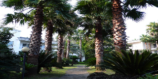 springhill resort
