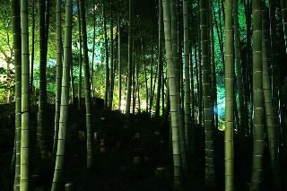 整體概覽