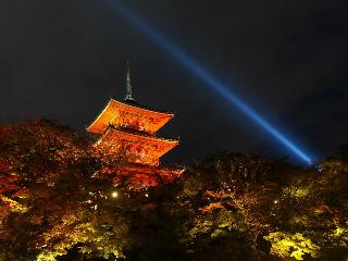 整體概覽