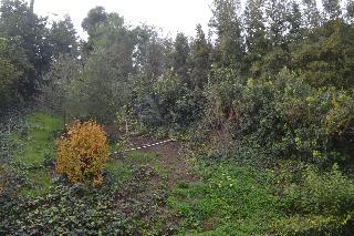 Mini Mansion In Hollywood Hills