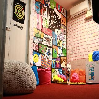 ARI GUESTHOUSE FOREIGNER ONLY