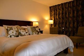 Room Room