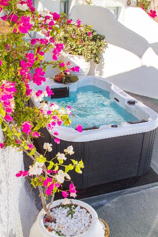 Alexander's Suites