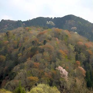 ガーランドコート宇佐美のnull