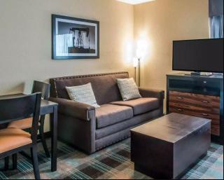 1 King Bed, Suite, Nonsmoking, Accessible
