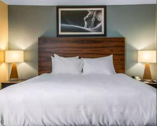 1 King Bed, Suite, Nonsmoking, Accessible