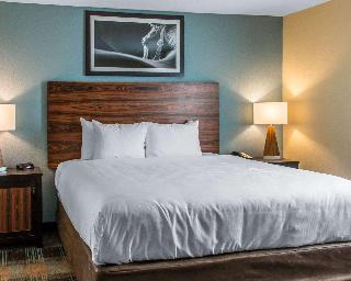 1 King Bed, Suite, Nonsmoking