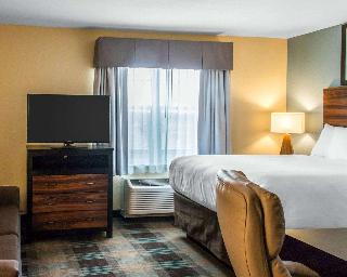 1 Queen Bed, Suite, Nonsmoking, Accessible