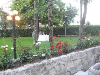 HOTEL COLUCCI