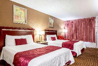 Room Room