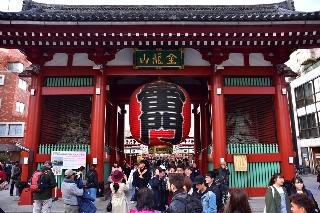 整體概覽
