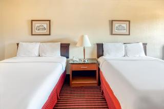 Room Room