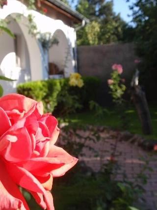 Yildiz Hotel