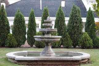 Lemon & Lime Guest House