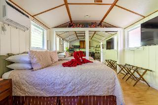 Room Room