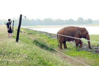 Hantara Udawalawa