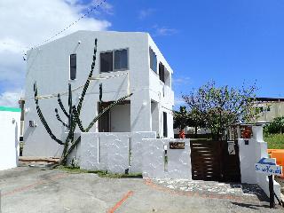 Smilax Kurichiのnull