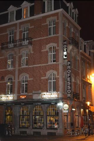Hotel Professor