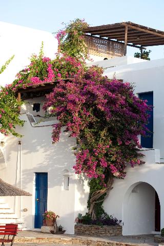 Antonina Hotel Apartments