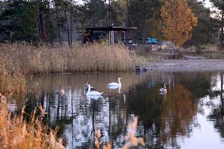 Marholmen