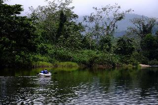 Sleeping Giant Rainforest Lodge