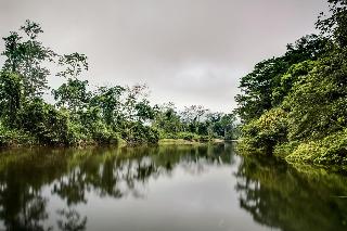 Sleeping Giant Rainforest Lodge