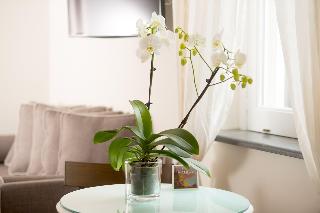 Room Room