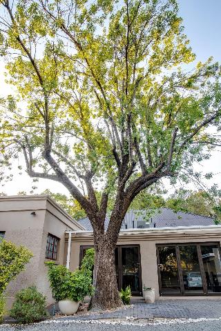 The Nightingale Guesthouse