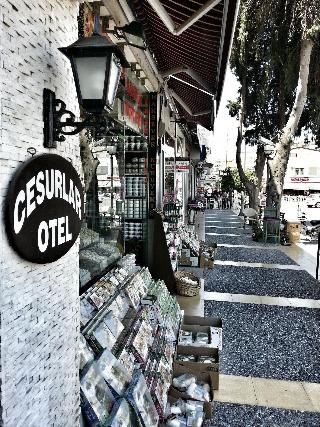 Cesurlar Hotel