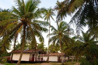 Darwins Beach Resort
